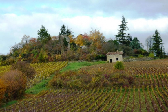 Beaune à Cluny