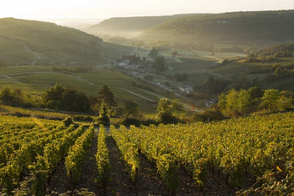 Climat de Bourgogne 