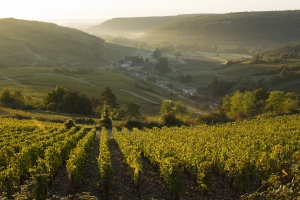 Climat de Bourgogne 