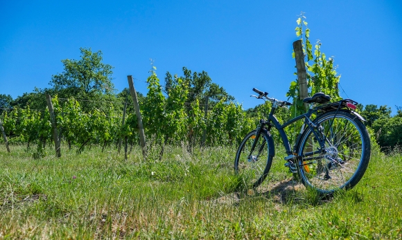 Journée champêtre à vélo