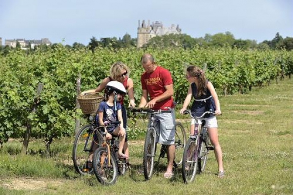 Voie verte et vignobles de Bourgogne