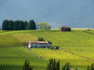 Les Grands Crus de Bourgogne à VTT