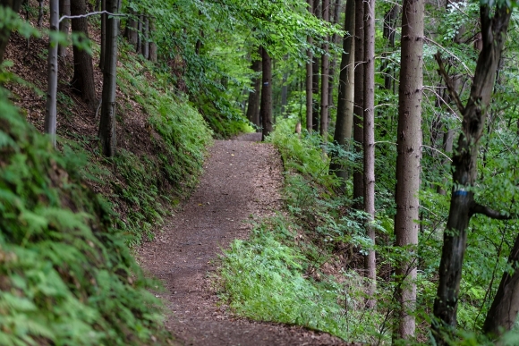 Le Morvan à VTT sur la GTMC