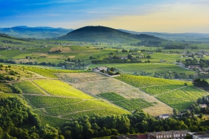 Le Tour du Beaujolais viticole